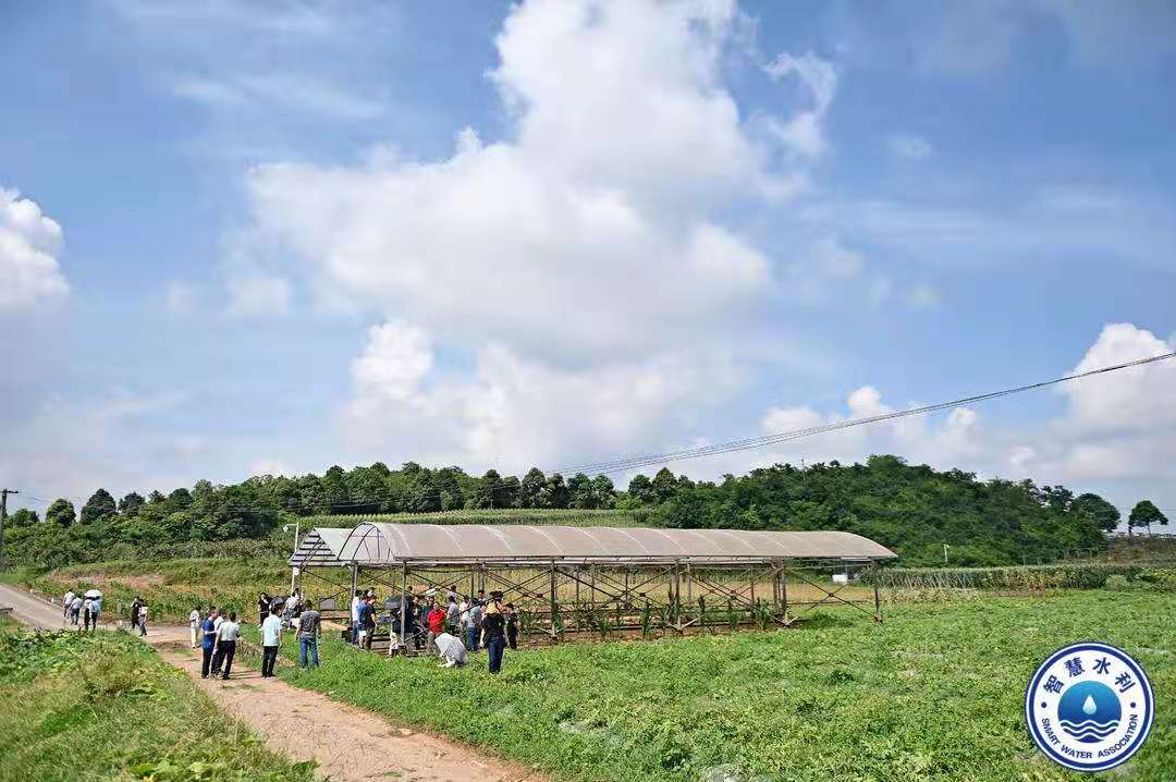 玉米烘干塔